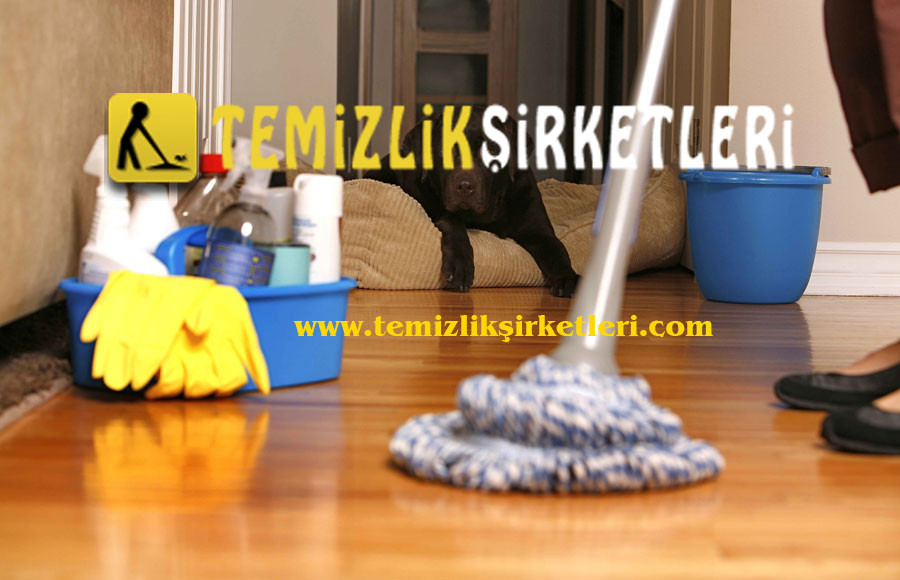 Ev Temizliği Ankara Fevzi Çakmak